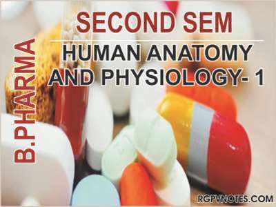 HUMAN ANATOMY AND PHYSIOLOGY 1
