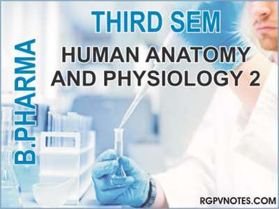 HUMAN ANATOMY AND PHYSIOLOGY 2